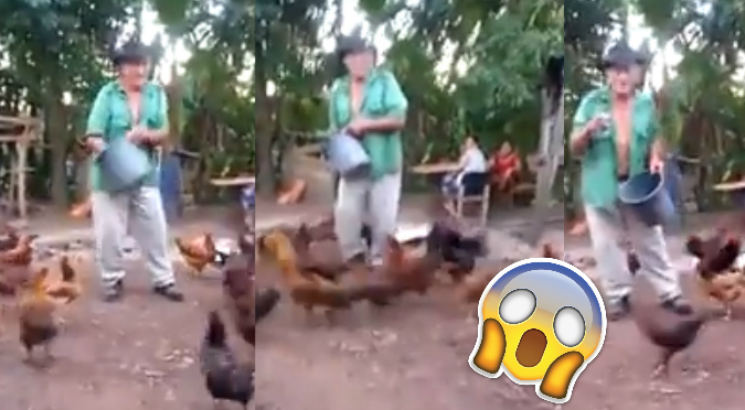 YouTube: Anciano que ‘encanta’ gallinas se vuelve viral