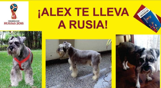 Facebook: Familia ofrece viaje a Rusia si encuentras a su perro (FOTO)
