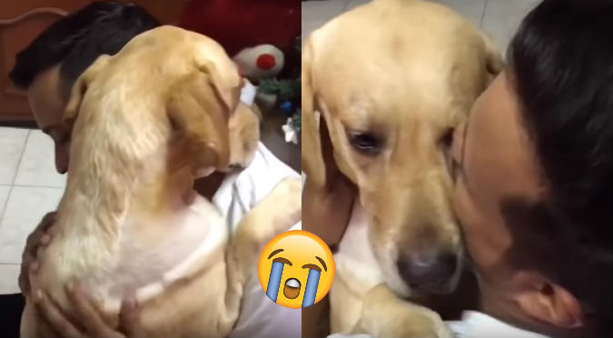 YouTube: Perrito abraza a su dueño tras salir de cirugía (VIDEO)