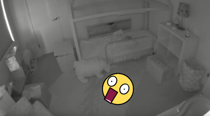 Dos Golden Retiever ingresan al dormitorio de una bebé y no creerás lo que pasa