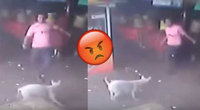 Hombre que intenta golpear a perro recibe tremenda lección (VIDEO)