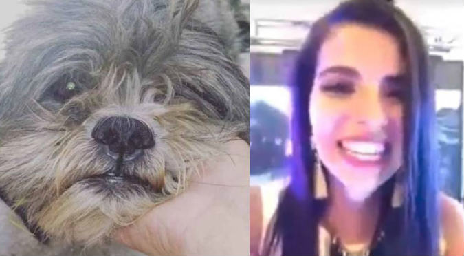 Conductora de TV atropelló a perrito y se burla en video