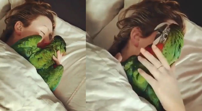 Viral: Loro causa ternura al dormir con su dueña (VIDEO)