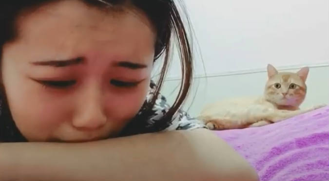 Facebook: Gato consuela a su dueña al verla llorar (VIDEO)