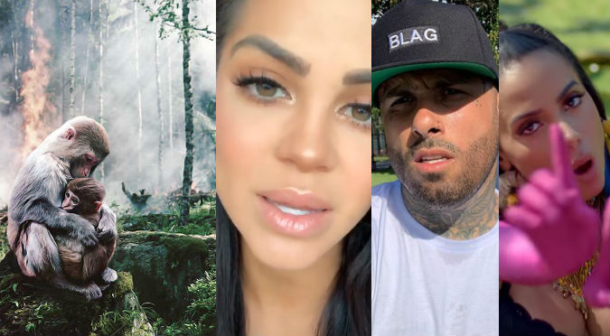 Anitta, Natti Natasha y Nicky Jam dan duro mensaje a la humanidad por incendios en el Amazonas (VIDEO)