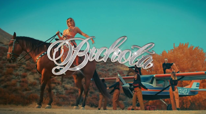 Karol G anuncia su nuevo single, 'Bichota' | VIDEO