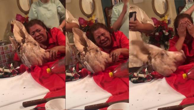 Mujer llora desconsoladamente después de comerse a su cerdito |VIDEO