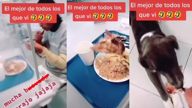 Joven quiere tomar foto a su comida, pero su amigo se lo quita y le da al perro | VIDEO