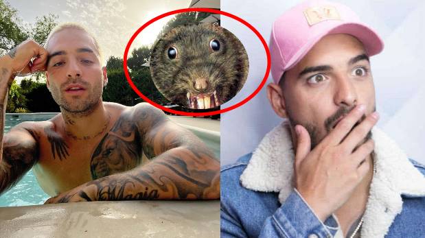 Maluma se muestra aterrorizado al descubrir una 'rataza' cerca de él | VIDEO