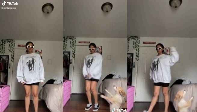 Perrita interrumpe a su dueña mientras baila la 'Neverita' de Bad Bunny para TikTok | VIDEO