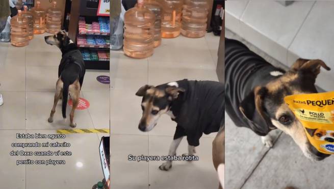 Perrito 'estafa' a joven y se vuelve viral | VIDEO