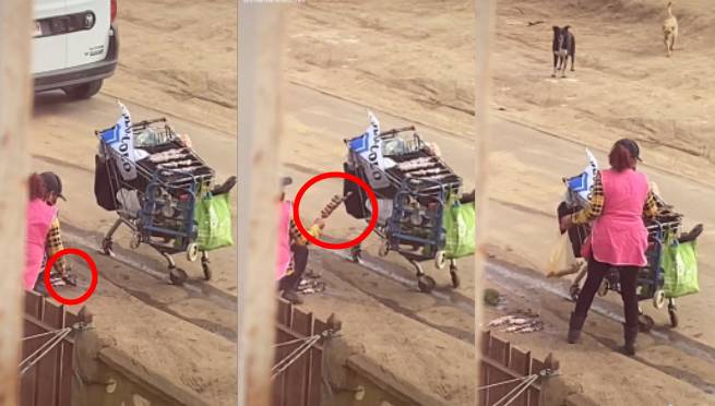 TikTok: captan a vendedora recogiendo anticuchos que se le cayeron al piso y colocándolos en su parrilla | VIDEO