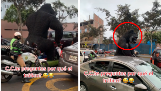 Captan a 'gorila' en una calle de Lima y deja en shock a decenas de personas: 'Vino a poner orden' | VIDEO