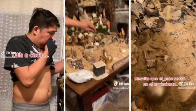 Hombre queda en shock al ver que su gatito utilizo de arenero el nacimiento | VIDEO