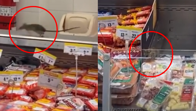 Captan dos enormes ratas caminando sobre embutidos en Metro de Chorrillos: