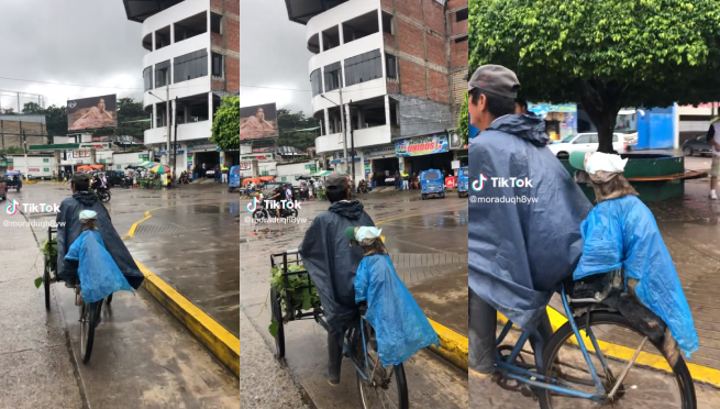 ¡Amor de verdad! Hombre protege a su perrito de las lluvias con una gorrita y bolsa de plástico
