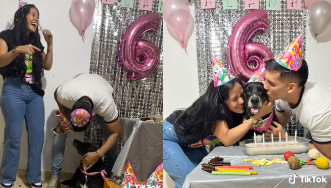 Dejaron de ser enamorados, pero se volvieron a ver por el cumpleaños de su hija perruna