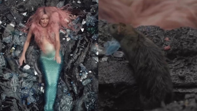 Shakira vivió tremendo susto al ver una rata en plena grabación de videoclip
