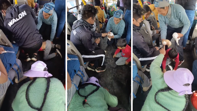 “Solo en Perusalem”: Cuyes se escapan dentro de bus en Cusco y pasajeros hacen de todo por atraparlos