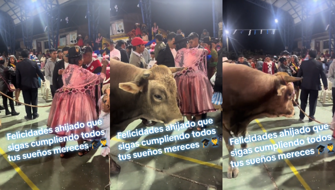 Madrina le regala un toro a su ahijado en su fiesta de graduación y se vuelve viral: “Qué buen regalo”
