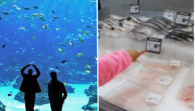 Su hija quería ir al acuario, pero él la lleva a la sección de pescados de un supermercado | VIDEO