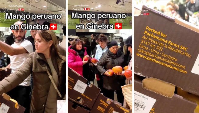 Mango peruano es un éxito en Suiza y sorprende con su precio: “Aquí es muy caro”