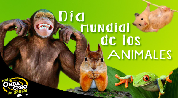 Hoy es el Día Mundial de los Animales