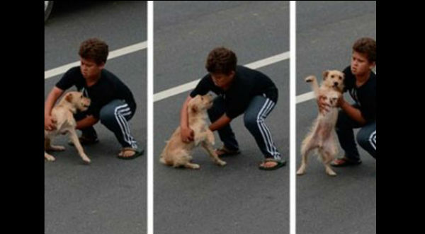 Fotos: Niño arriesga su vida por salvar a un perro de la autopista