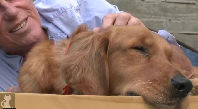 ¡Muy tierno! Fue abandonado por ser ciego, pero su historia tuvo un final feliz – VIDEO