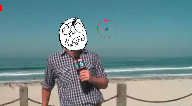 ¡La cara que puso! Reportero se asusta al ver a insecto gigante – VIDEO