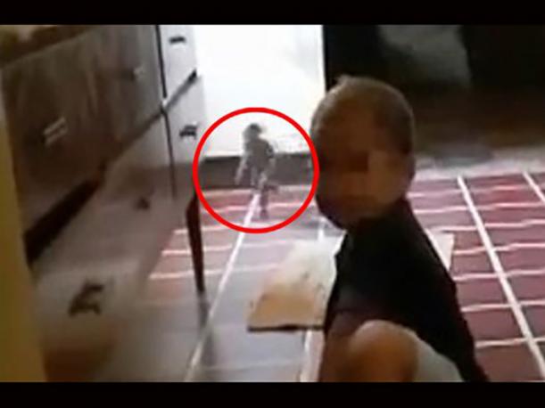 ¡Alucinante! Mira el video de un duende corriendo por un una cocina