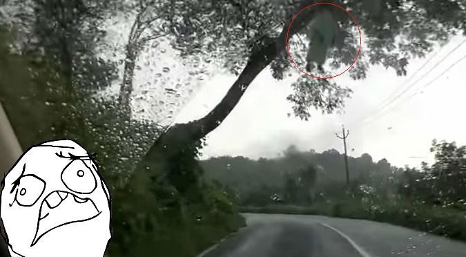 ¡Ay mamita! Supuesto fantasma asusta a todos en carretera – VIDEO
