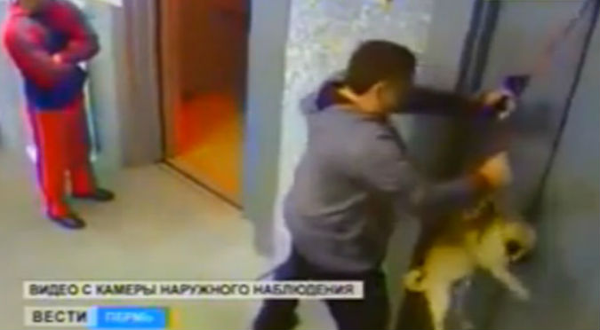 YouTube: Perro se atascó en un ascensor y casi muere decapitado