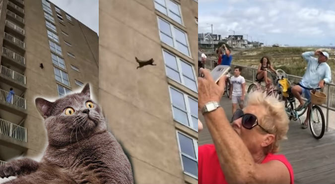 Viral: Gato cae de un edificio y logra salir ileso (VIDEO)