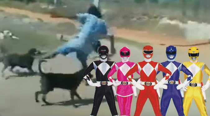 Borracho se cree Power Ranger y perros le dan su merecido (VIDEO)