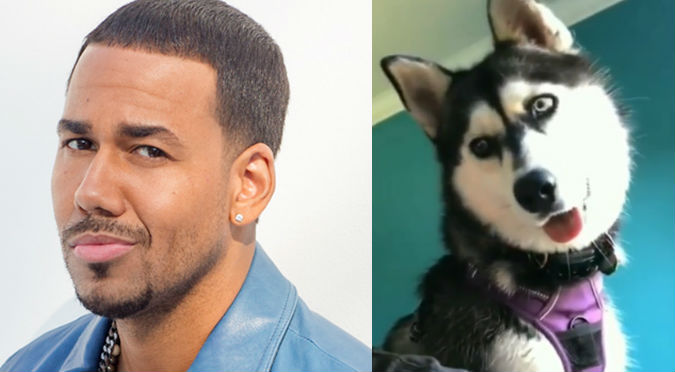 Perro escucha a Romeo Santos y su reacción se vuelve viral (VIDEO)