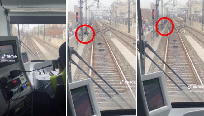 Linea 1 del Metro se detuvo para rescatar a perrito que se metió en los rieles | VIDEO