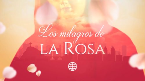 “Los Milagros de la Rosa” lidera su horario y reafirma el éxito de América TV