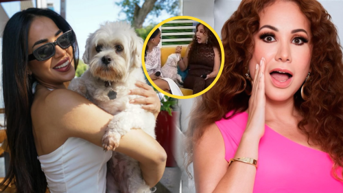 Perro de Onelia Molina muerde en vivo a Janet Barboza: “Es la mala vibra”