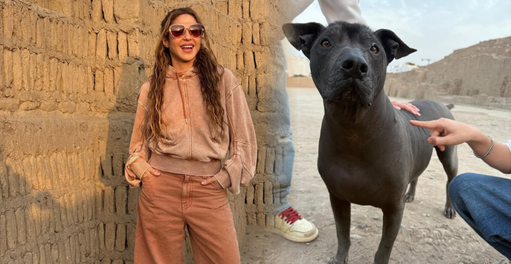 ¡Perú es clave! Shakira presume su paso por Lima entre huacas, chicharrón y llamas de colores