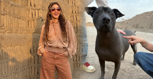 ¡Perú es clave! Shakira presume su paso por Lima entre huacas, chicharrón y llamas de colores